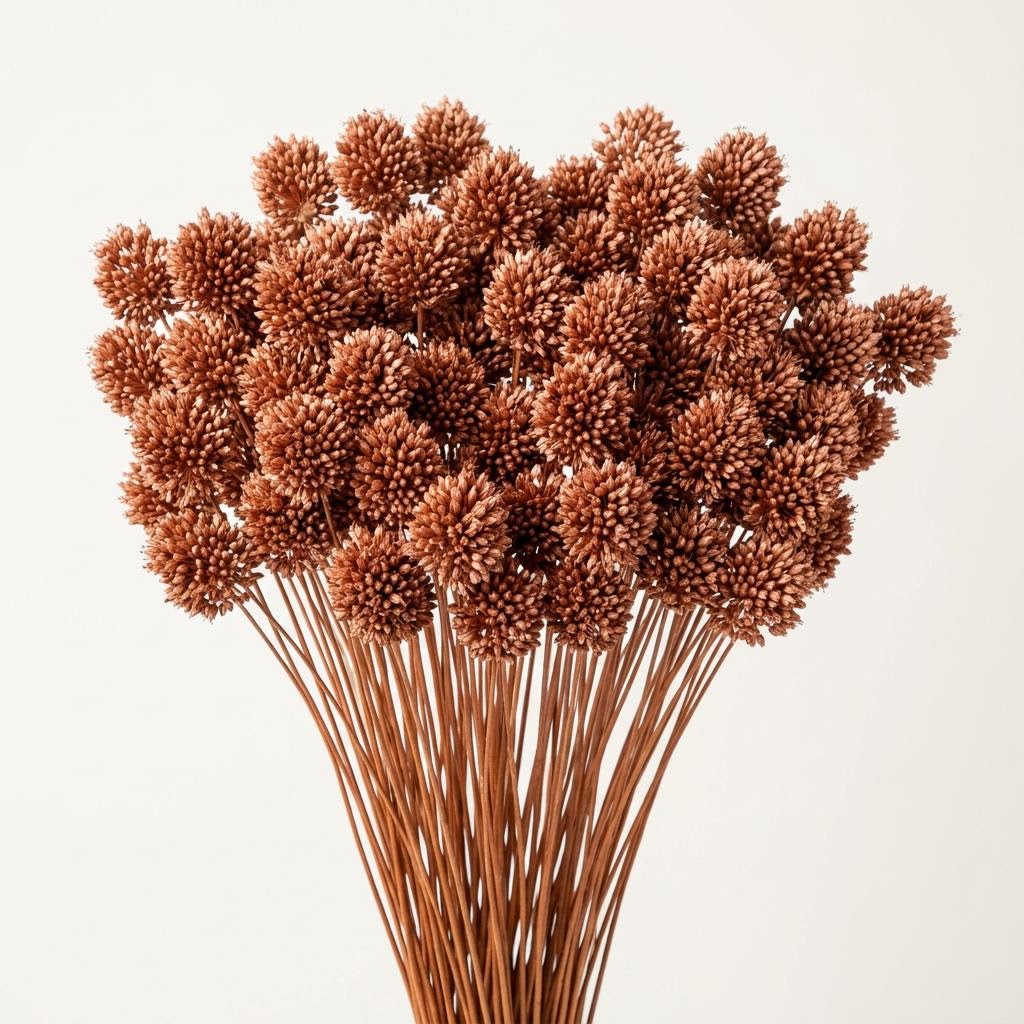 Sphaerocephalon Dyed Copper