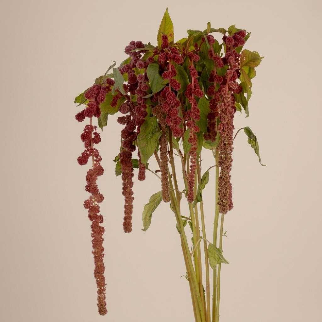 Coral Fountain