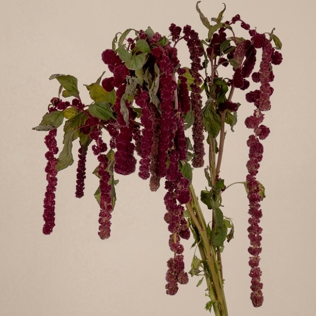 Rosary