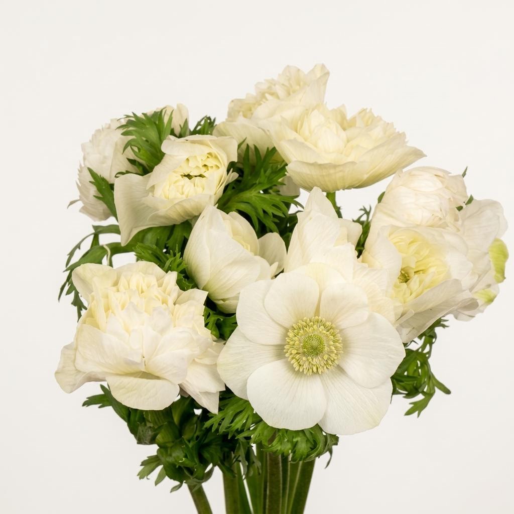 Levante White
