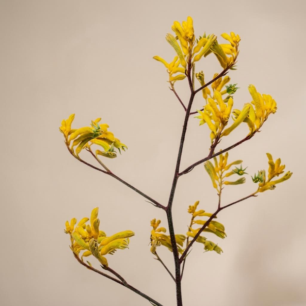 Yellow Gem